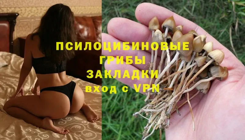 Псилоцибиновые грибы Psilocybine cubensis  продажа наркотиков  Череповец 